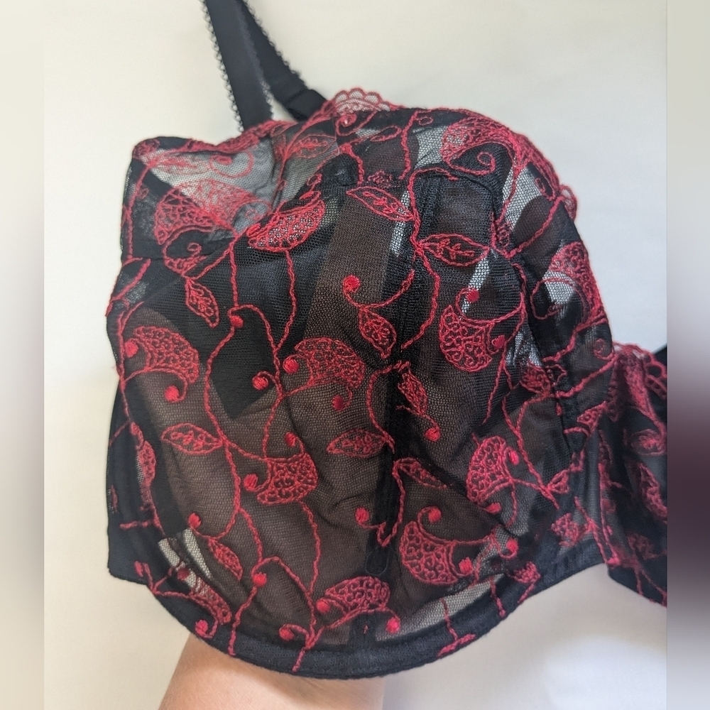 Panache Black Bra with Red Floral Embroidery - Picture 2 of 8